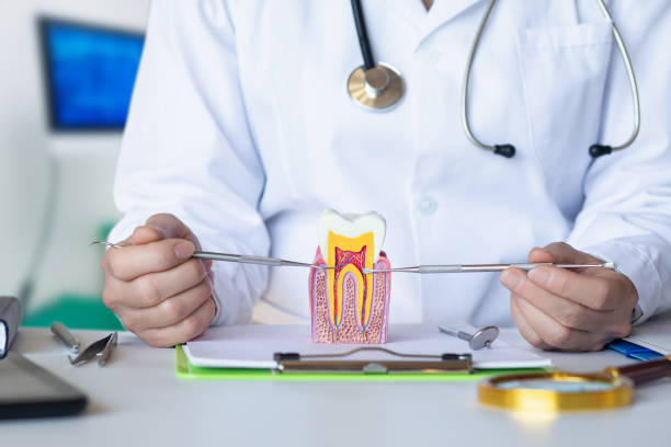 Best Emergency Tooth Extraction in Edinburg, IL